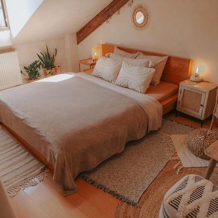 Cozy Apartment In The Heart Of The Historic City Bratislava Bagian luar foto
