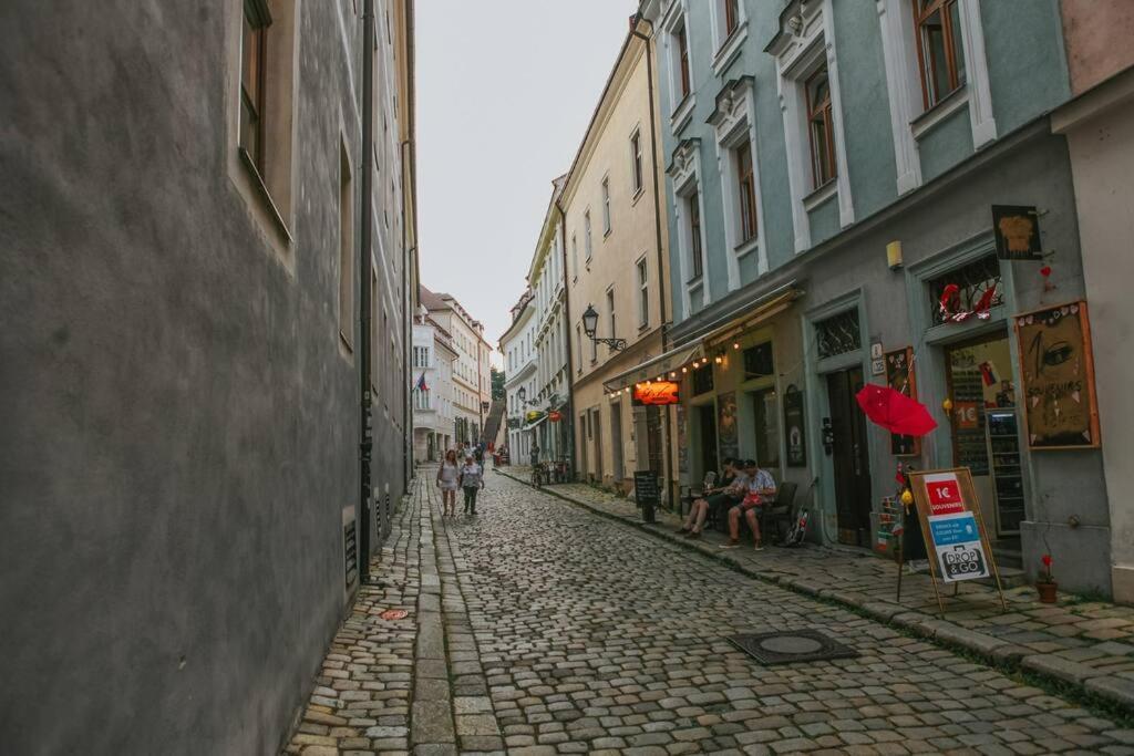 Cozy Apartment In The Heart Of The Historic City Bratislava Bagian luar foto